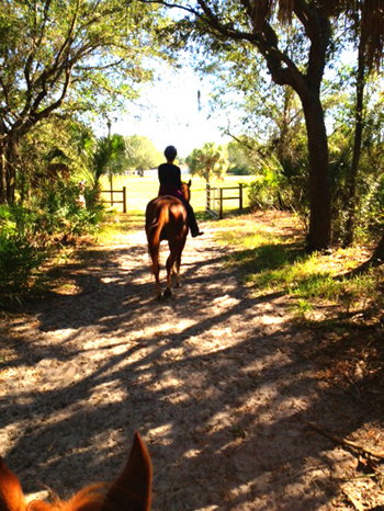 julie ober riding