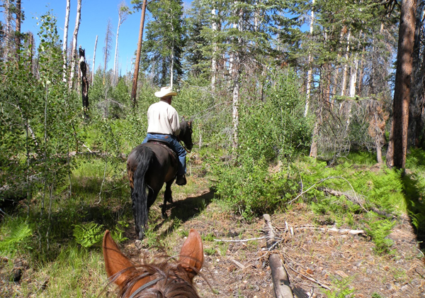 ken patrick horse trail