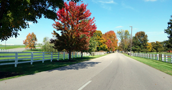 Kentucky Horse Park fall colors