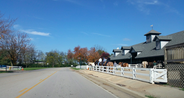 kentucky horse park stables