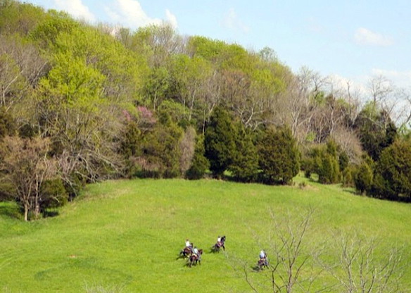 kentucky horseback riding