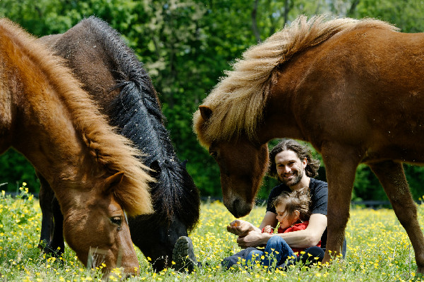 Gudmar Petursson and Icelandic Horses