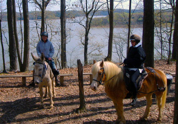 kentucky horse trails