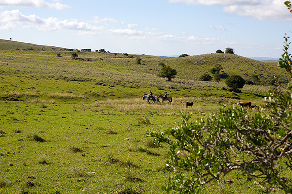 La Salamora rural riding in Uruguay