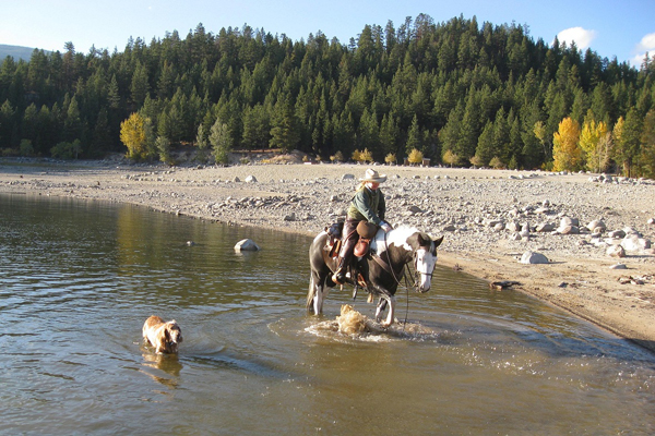 lake como horse ride montana