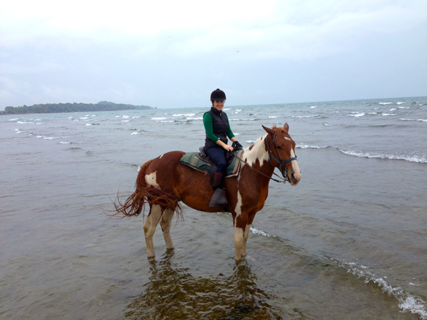 lake erie horseback riding