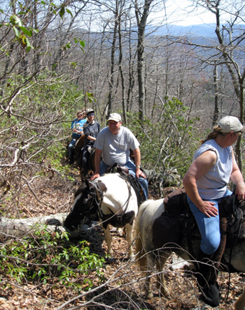 laurel run horse trails virginia