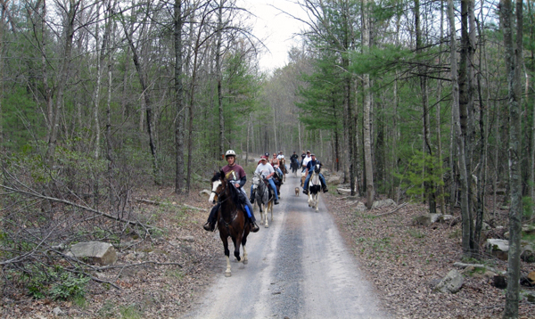 laurel run horse trails virginia moonlight ride