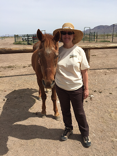 Laurie horseback arizona