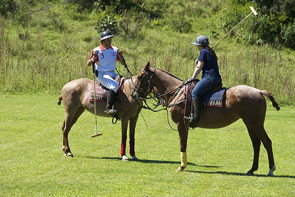 Estancia Los Potreros Argentina