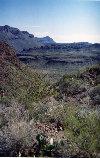 big bend views state park ranch