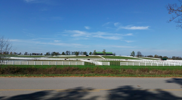 Lexington Horse Farms