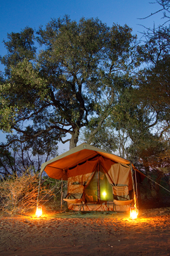 limpopo horse safaris camp