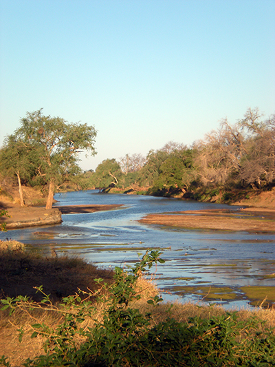 Limpopo river botswana safari