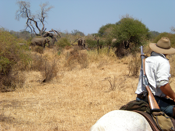 Limpopo valley horseback riding