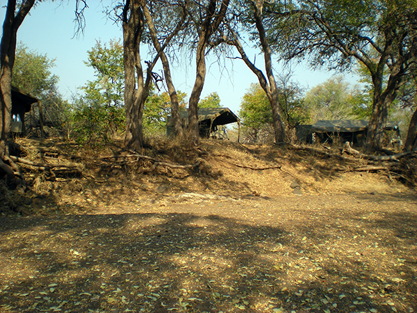 Limpopo horse safari camp africa botswana