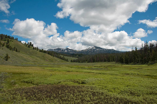 lone mountain ranch yellowstone