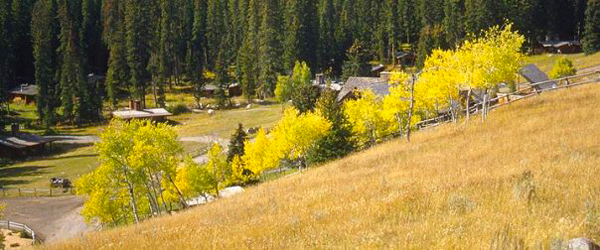 lone mountain ranch leaves fall colors