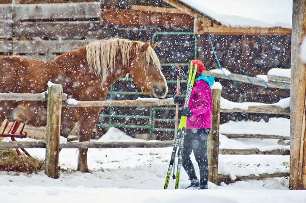 lone mountain guest ranch snow 