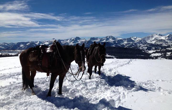 lone mountain ranch montana fall snow