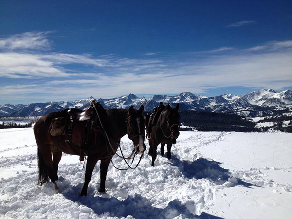 lone mountain ranch taylor fork horseback snow