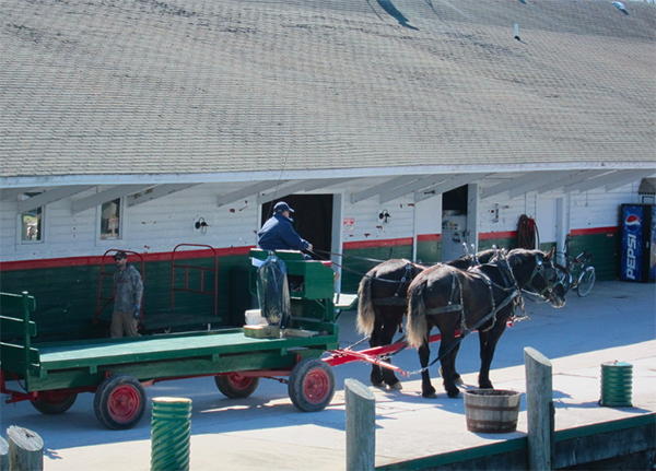 Mackinac Island horse drawn carriage