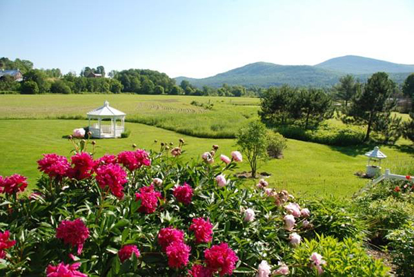 Vermont Icelandic Horse Farm Mad River Inn