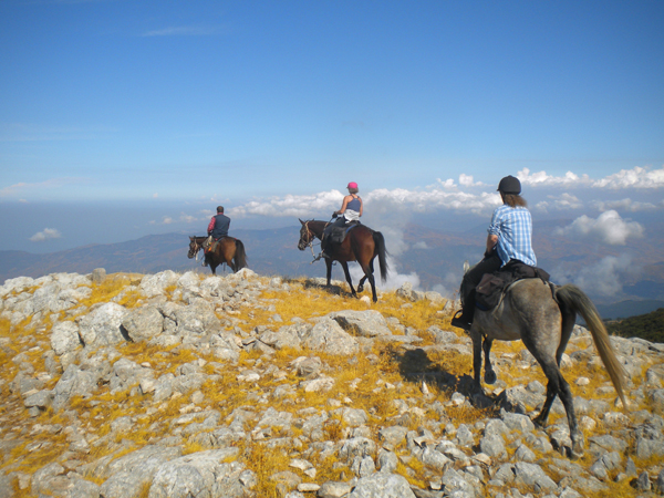 madonie mountains sicily on horseback