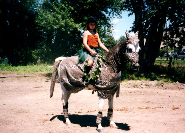 Cheetah-horse-costume