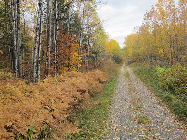 maine horse trails 