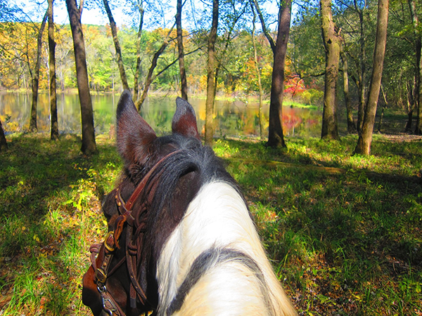 Mammoth Cave National Park horseback trails