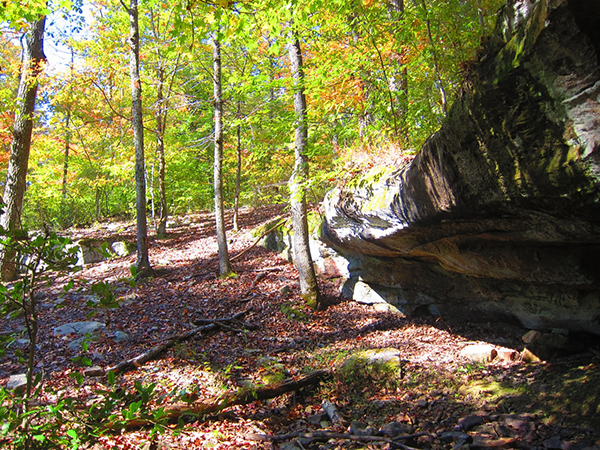 Mammoth Cave National Parks First Creek Trail In Kentucky Equitrekking