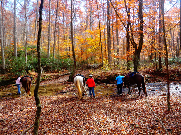 Mammoth Cave National Park horseback trails