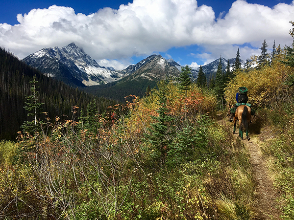 Manning Park horse riding British Columbia