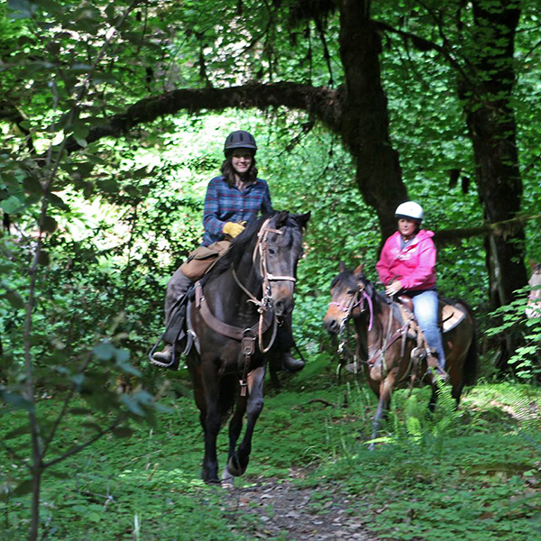 Marble Mountain Ranch travel california