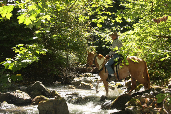 marble mountain ranch horseback