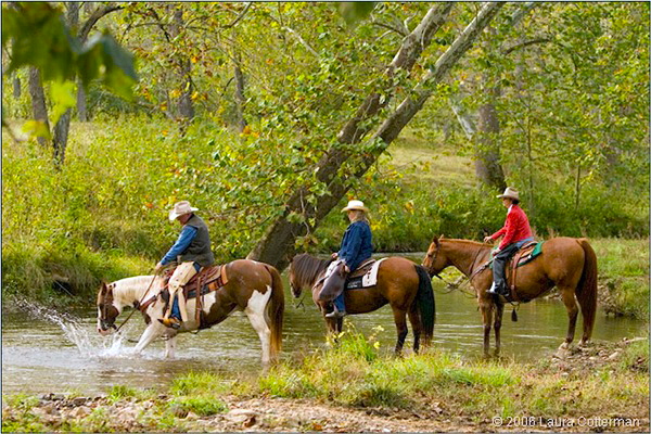 Marriott Ranch Virginia