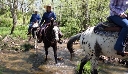 Marriott Ranch horse riding