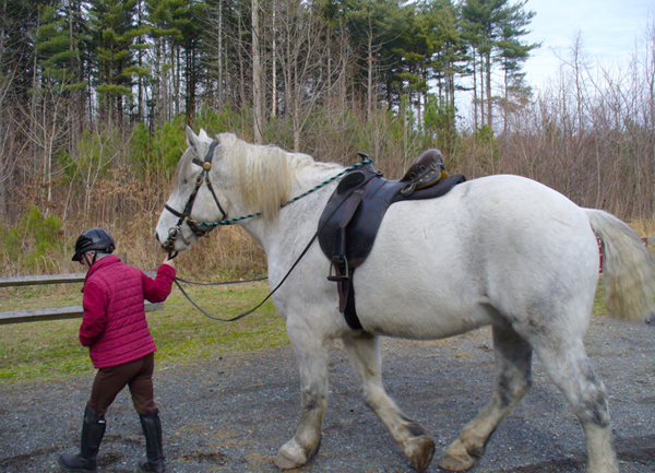 mary-delaware-horse-riding