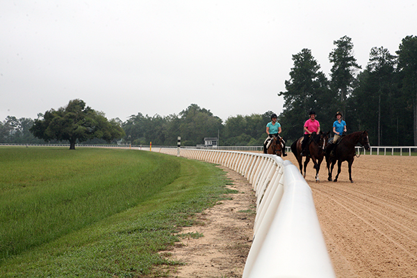 aiken training track horseback riding