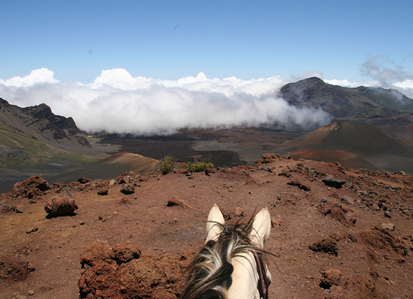 haleakala horseback riding maui