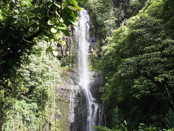 Maui waterfall