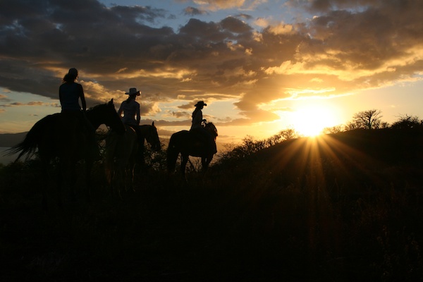 maui sunset horse ride