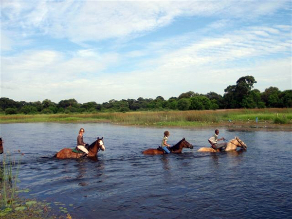 Maun Royal Tree Lodge