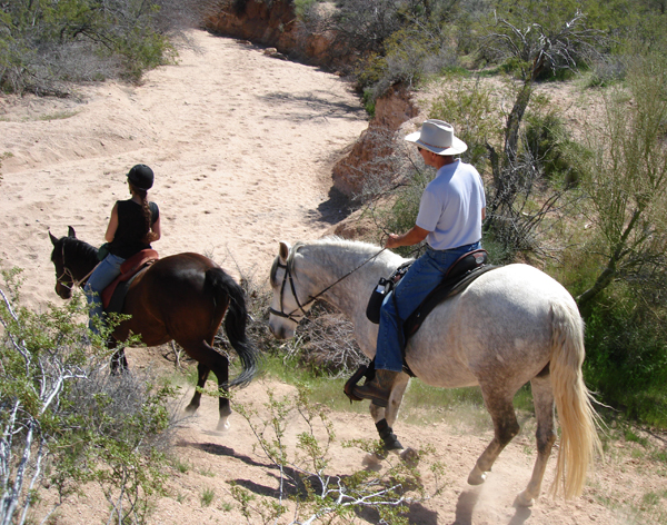 McDowell Sonoran Preserve horseback riding az