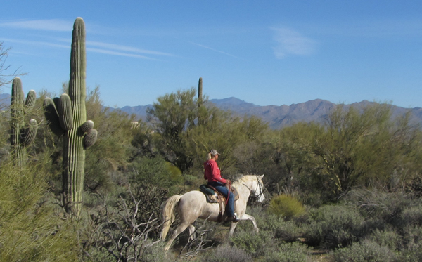 mcdowell trails horseback arizona