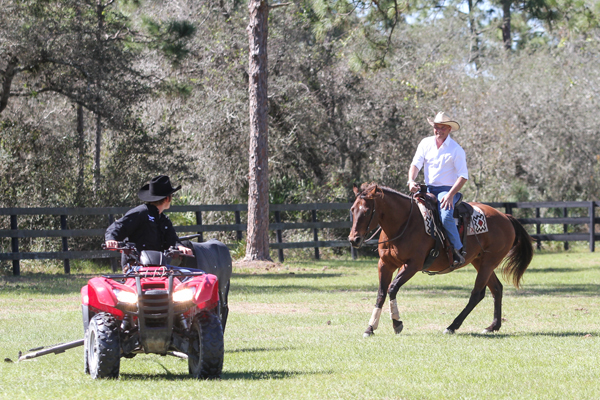 Mechanical Cow Reined Cow Horse