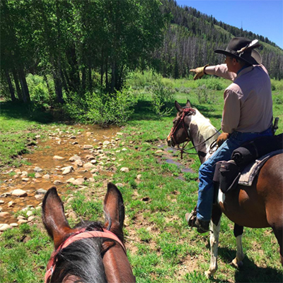 horseback riding medicine bow