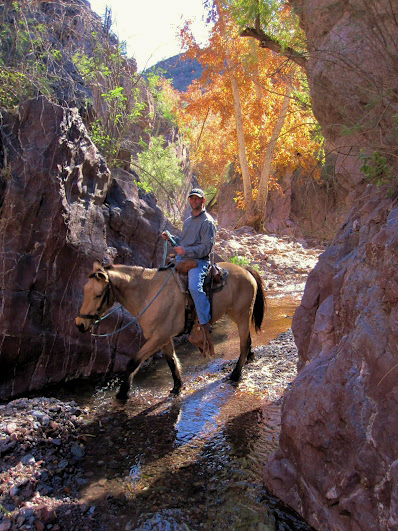 rancho los banos mexico horseback riding
