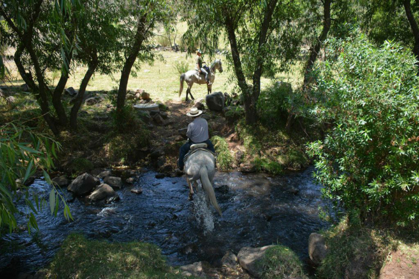 mexico horseback travel rancho las cascadas